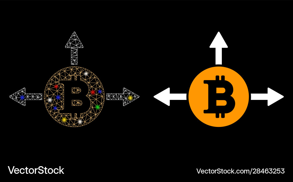 Flare mesh network bitcoin variant directions icon Flare mesh network bitcoin variant directions icon vector image