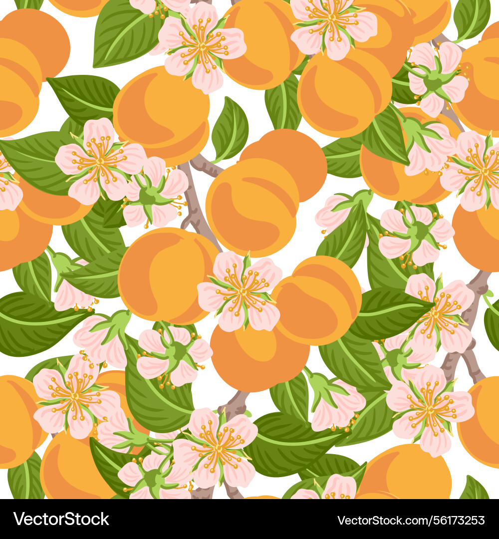 Seamless pattern with apricot tree branch Seamless pattern with apricot tree branch vector image