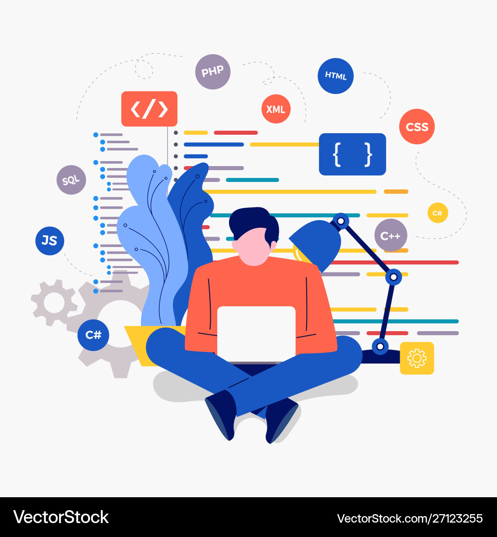 Developer programming Developer programming vector image
