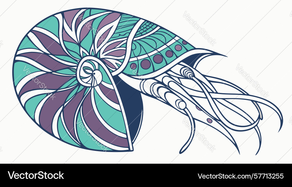 Nautilus shell with vibrant abstract patterns vector image