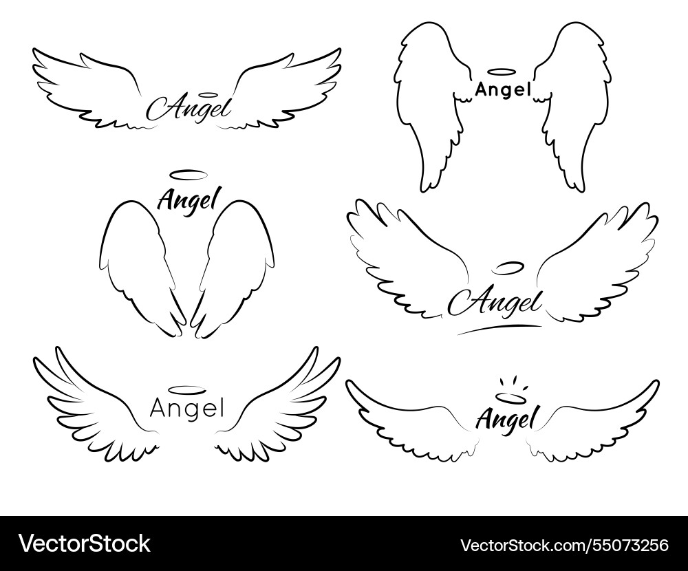 Angel wings with text sketch lettering elegant Angel wings with text sketch lettering elegant vector image