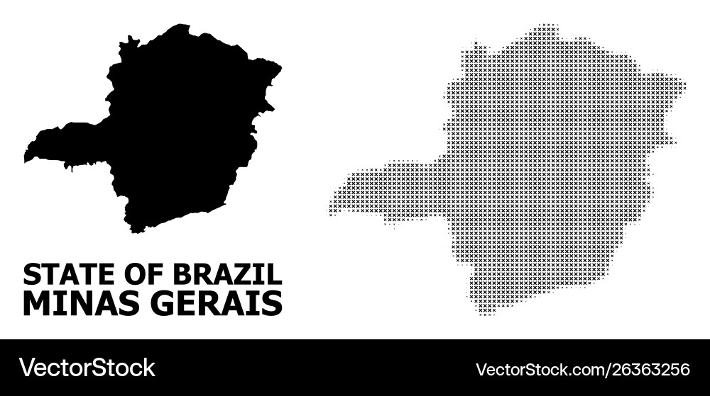 Halftone pattern and solid map minas vector image