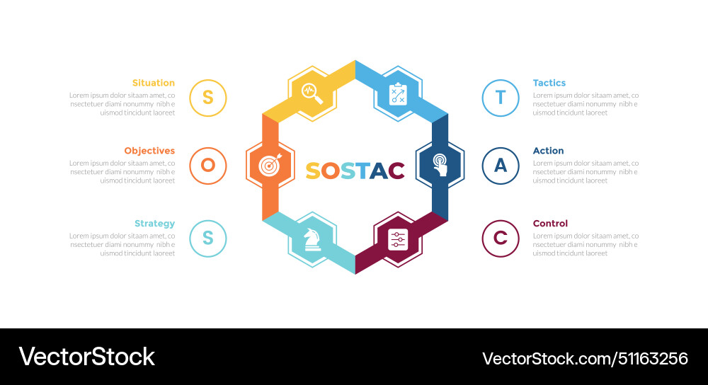 Sostac marketing planning infographics template Sostac marketing planning infographics template vector image
