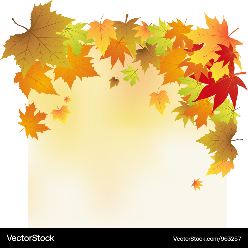 Autumn Leaf Background Vector Image