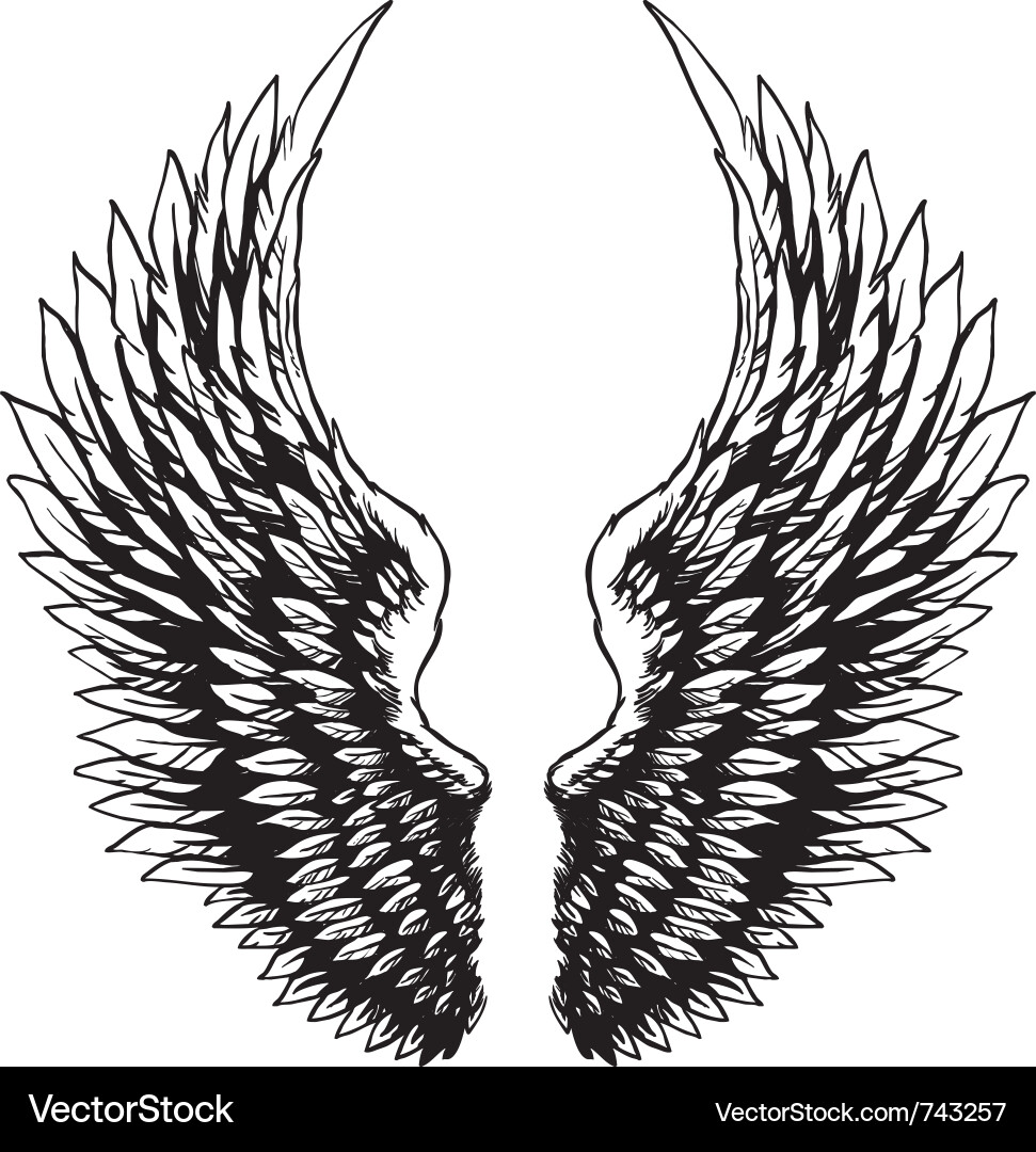 Hand drawn eagle wings vector image