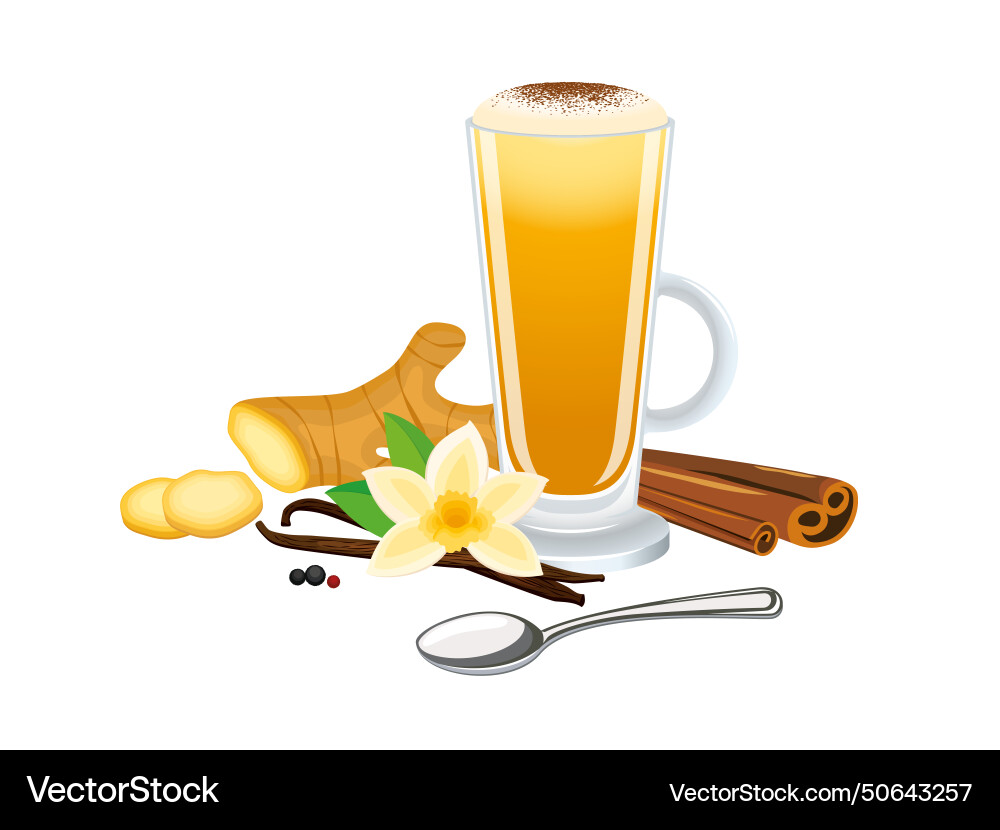 Turmeric latte with ginger vanilla cinnamon Vector Image