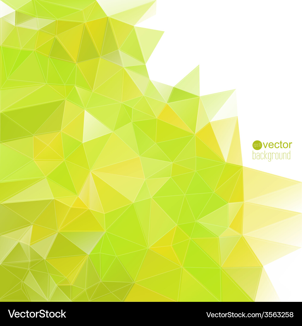Abstract background with triangles and polygon Vector Image