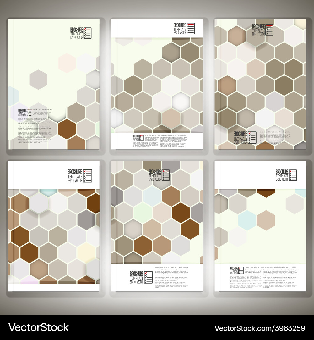 Hexagonal Pattern Backgrounds vector image