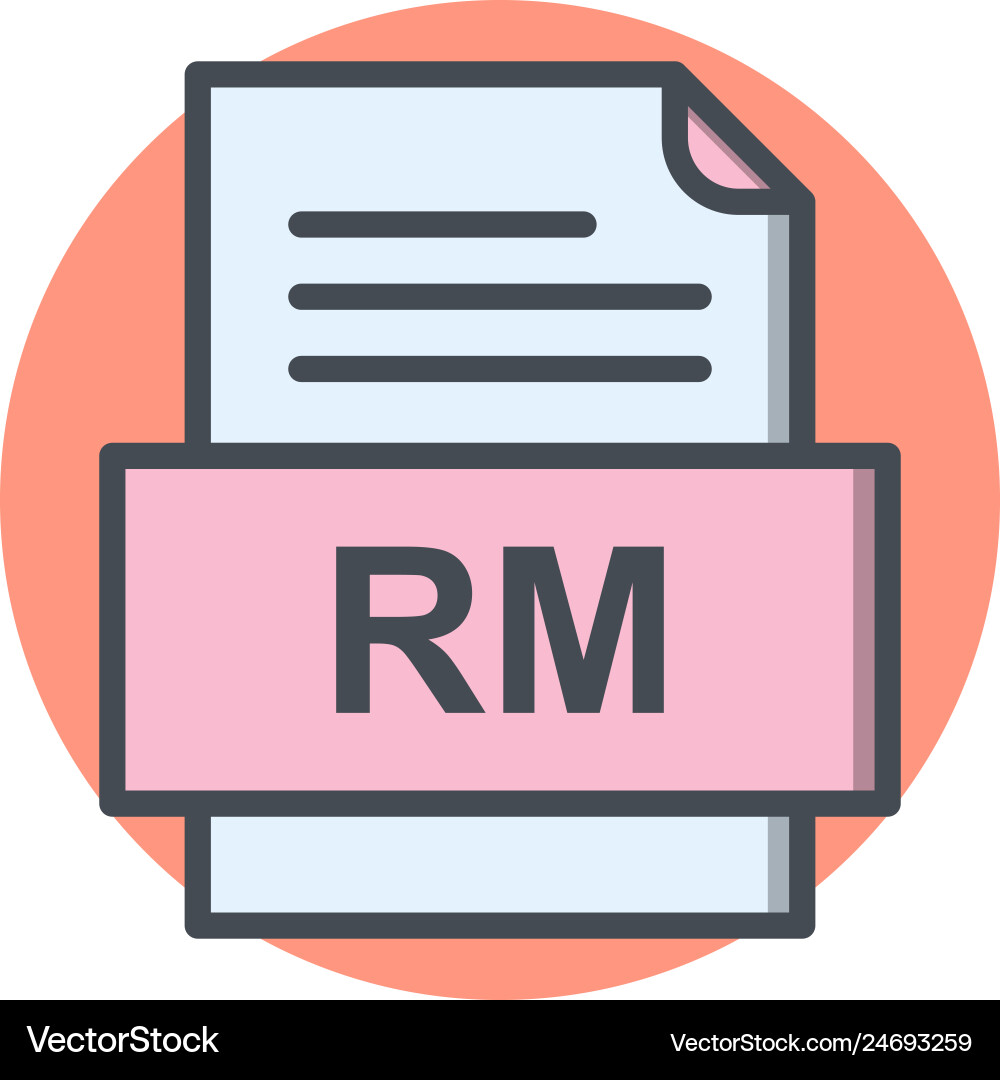 Rm file document icon Vector Image