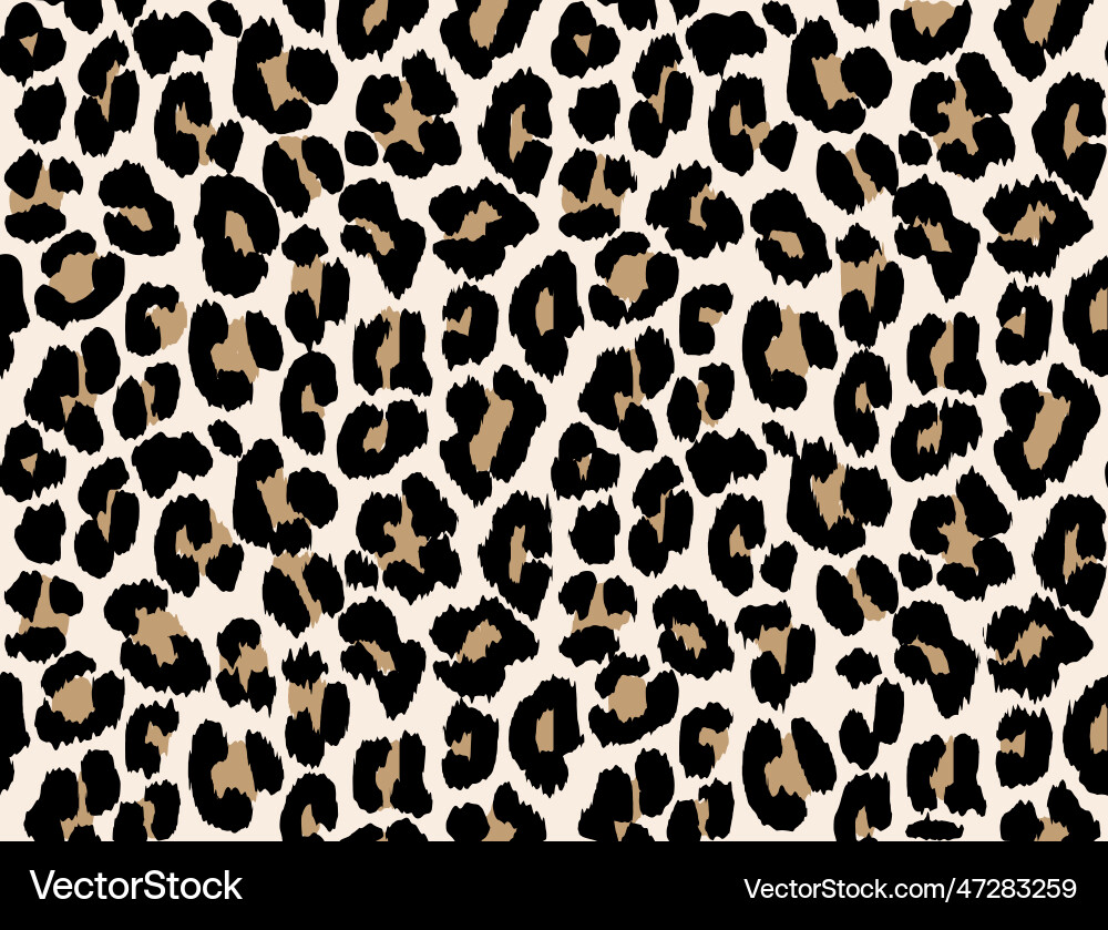 White Leopard Print Pattern vector image
