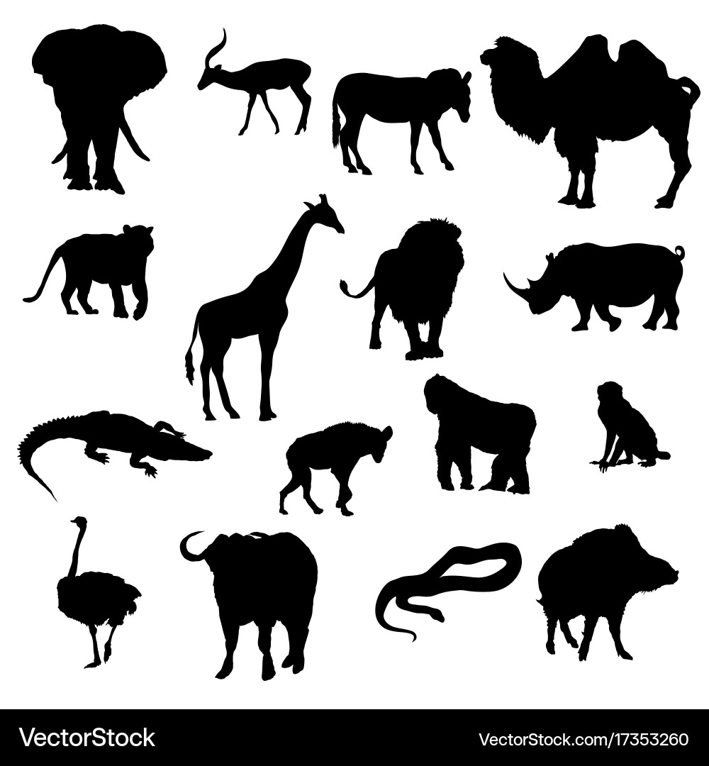 Animal Safari Silhouettes Vector Image