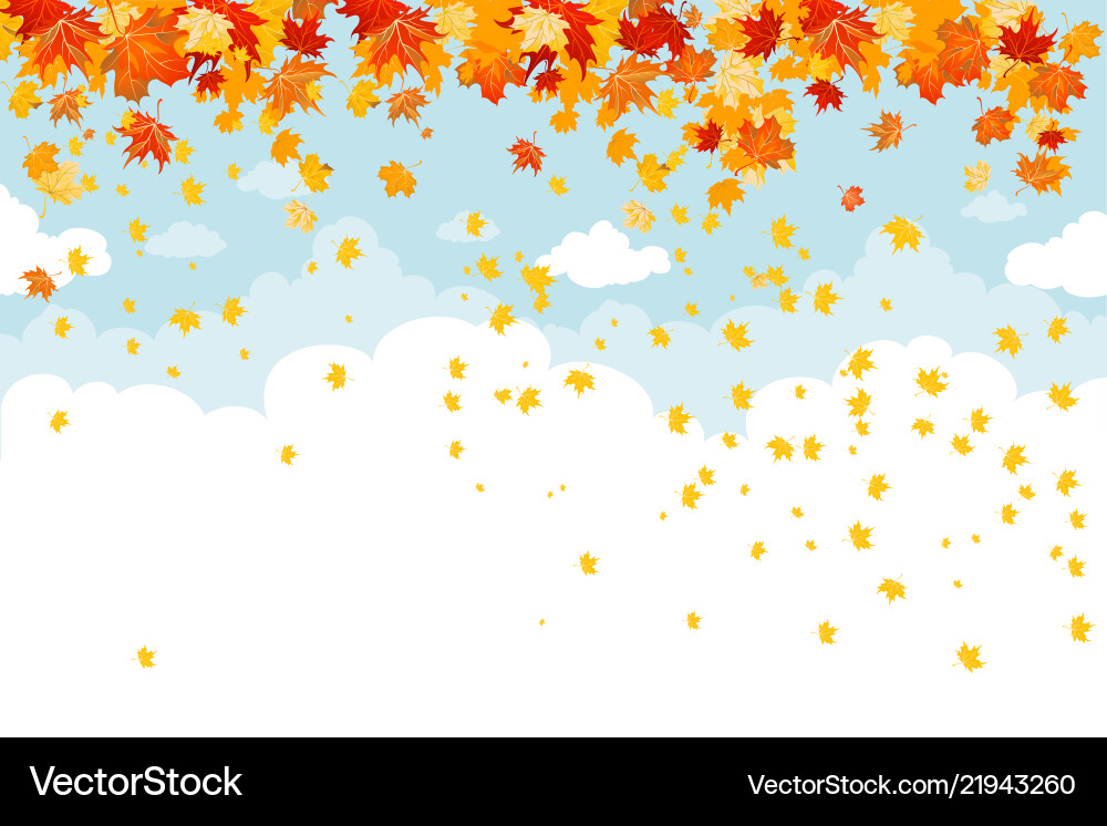 Maple leaves fall Maple leaves fall vector image
