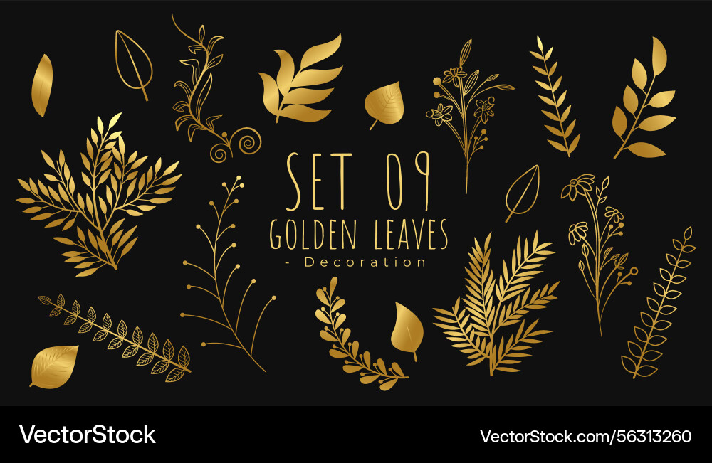 Mega set of stylish golden leaves decorative Vector Image