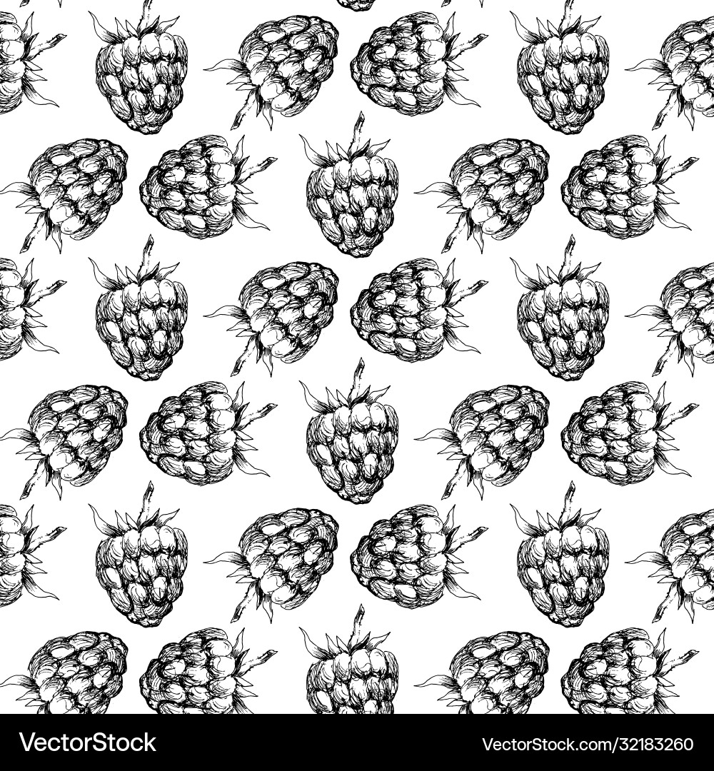 Raspberry Seamless Pattern - Hand Drawn vector image