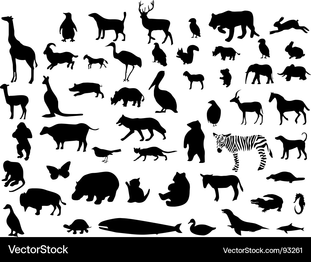 Animal Silhouettes Collection vector image