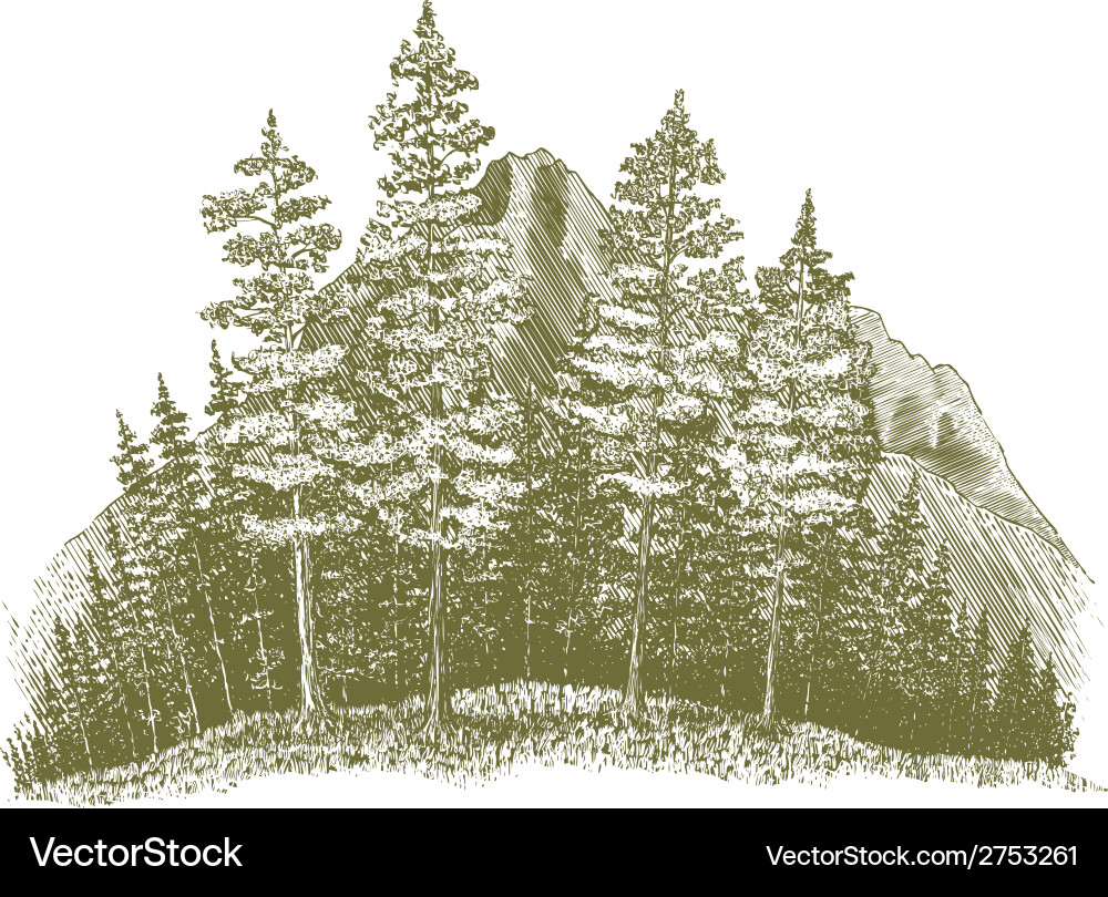 Woodcut Mountain Landscape vector image