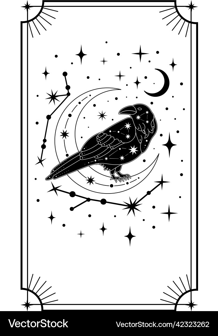 Mystische Tiere Esoterik Tarotkarten Poster Mystische Tiere Esoterik Tarotkarten Poster vektorbild