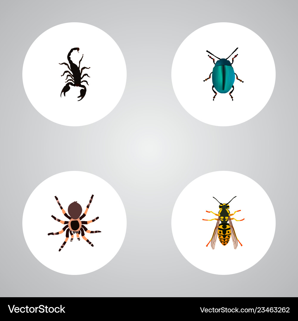 Set of insect realistic symbols with scorpion Set of insect realistic symbols with scorpion vector image