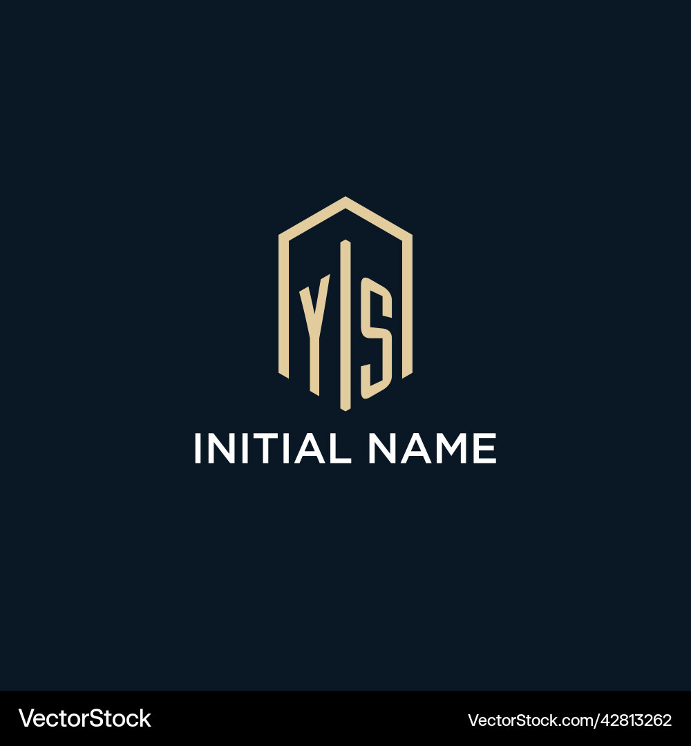 Ys initial monogram logo with hexagonal shape Vector Image