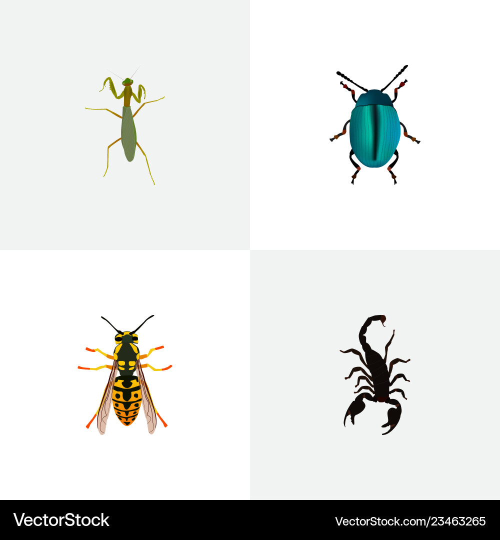 Set of insect realistic symbols with sting Set of insect realistic symbols with sting vector image