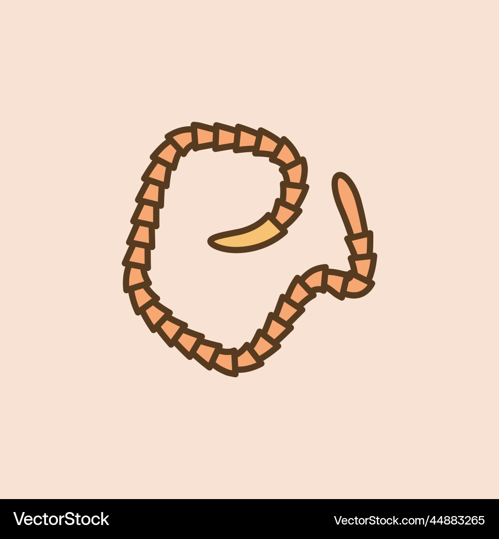 Tapeworm segmented worm concept colored Vector Image