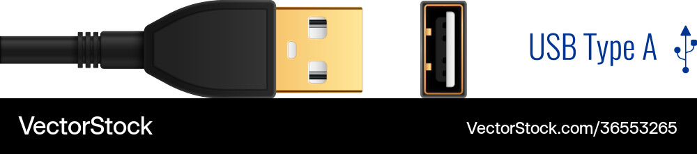 Usb type a composition Usb type a composition vector image