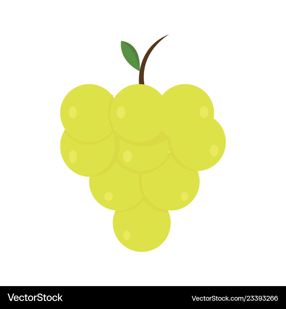Grape icon on white background for graphic and web Vector Image