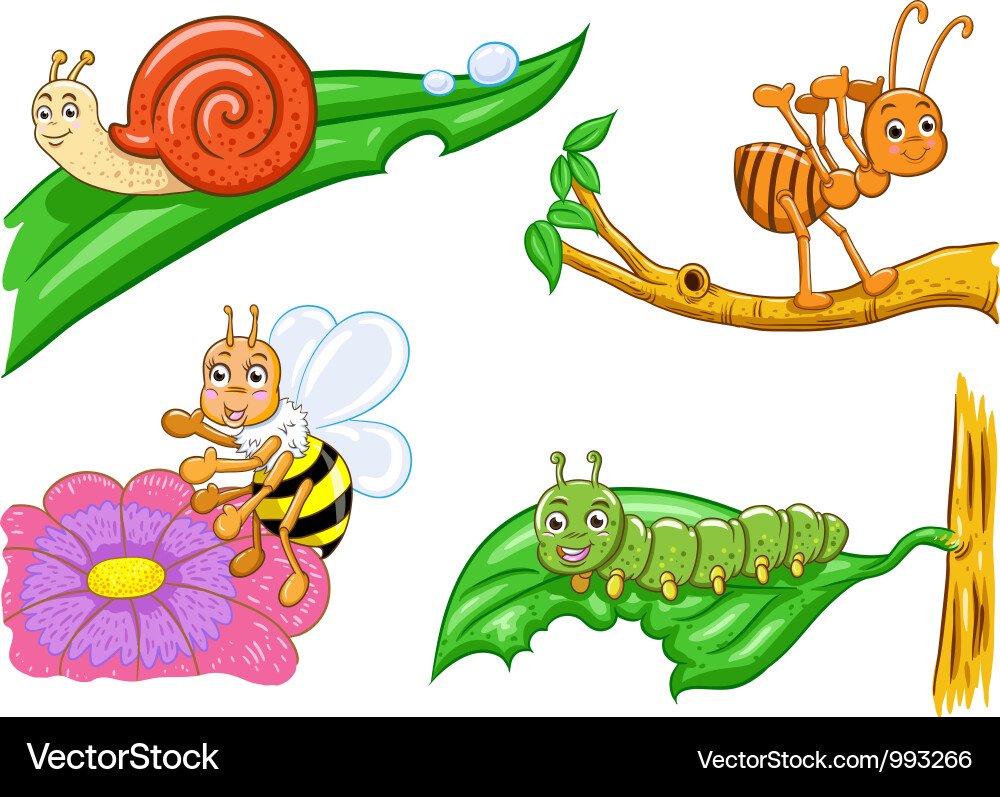Insects Royalty Free Vector Image - VectorStock