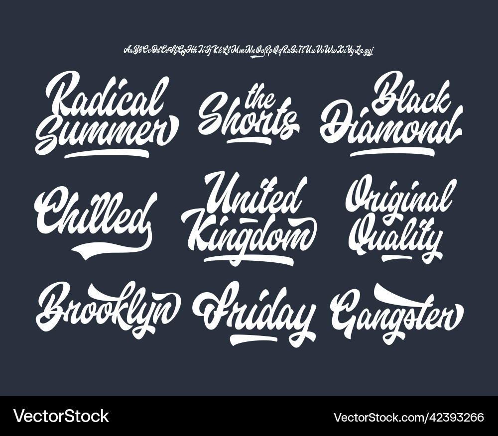 Lettering set with original script font vector image