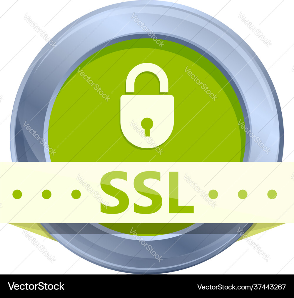 Encryption ssl certificate icon cartoon style Encryption ssl certificate icon cartoon style vector image