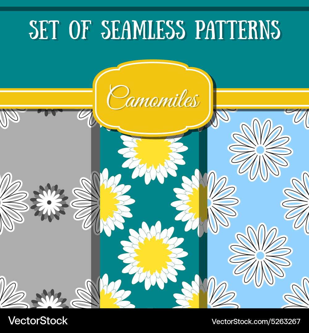 Set of seamless patterns made from different Vector Image
