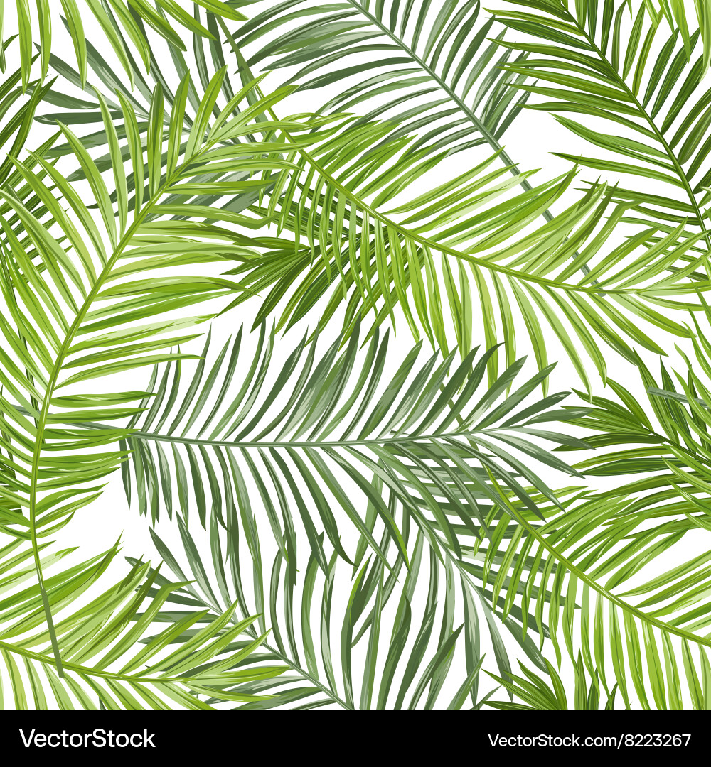 Tropical Palm Leaf Seamless Pattern Vector Image