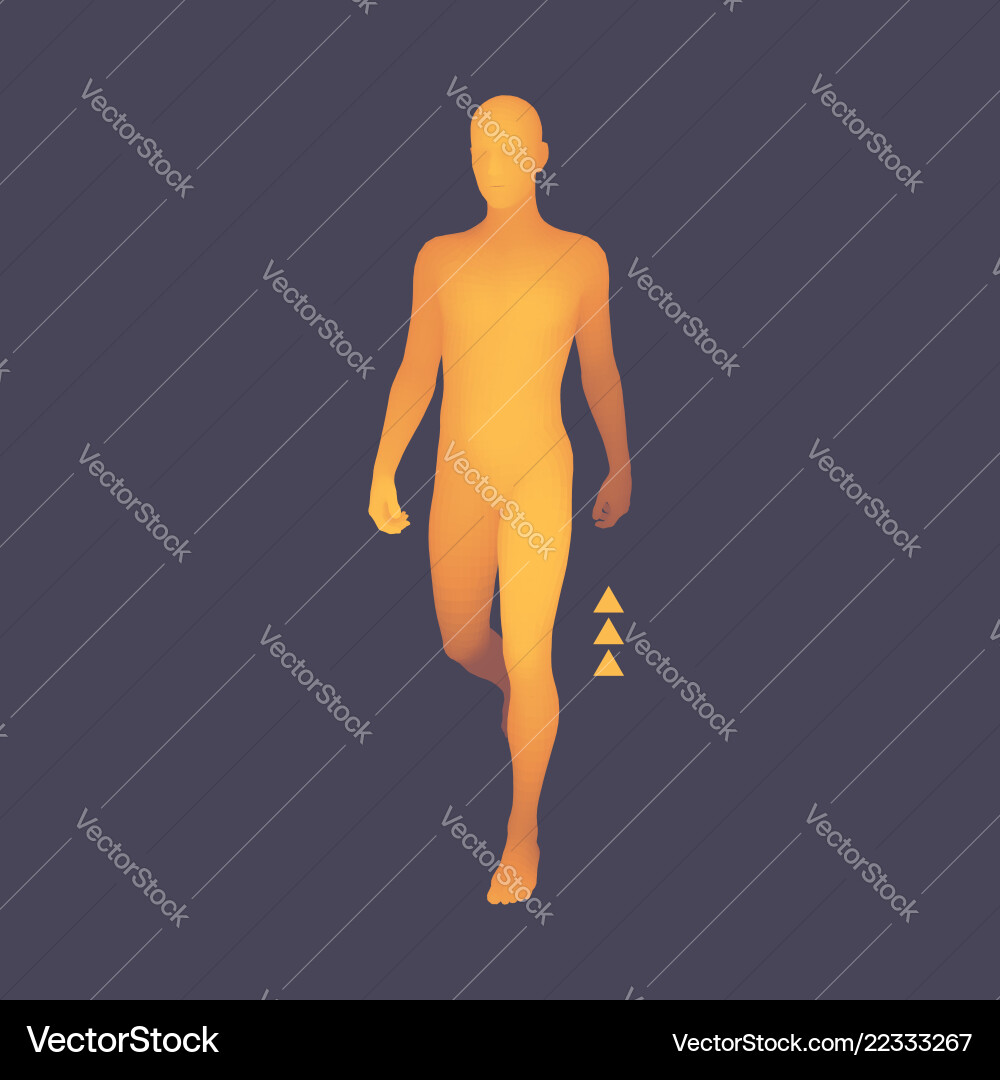 Walking man 3d menschliche Körper Modell Design Element Walking man 3d menschliche Körper Modell Design Element vektorbild