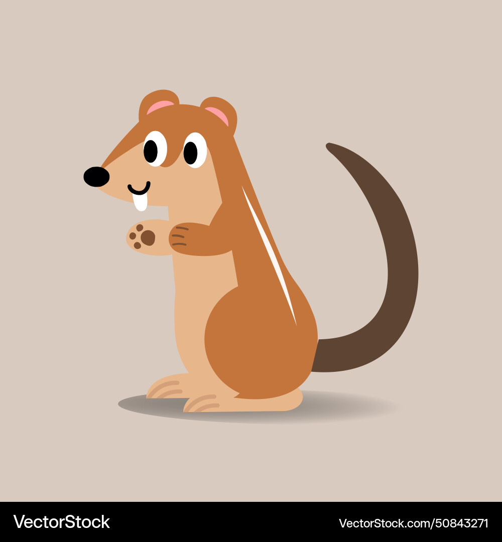 Xerus cartoon flat style Xerus cartoon flat style vector image