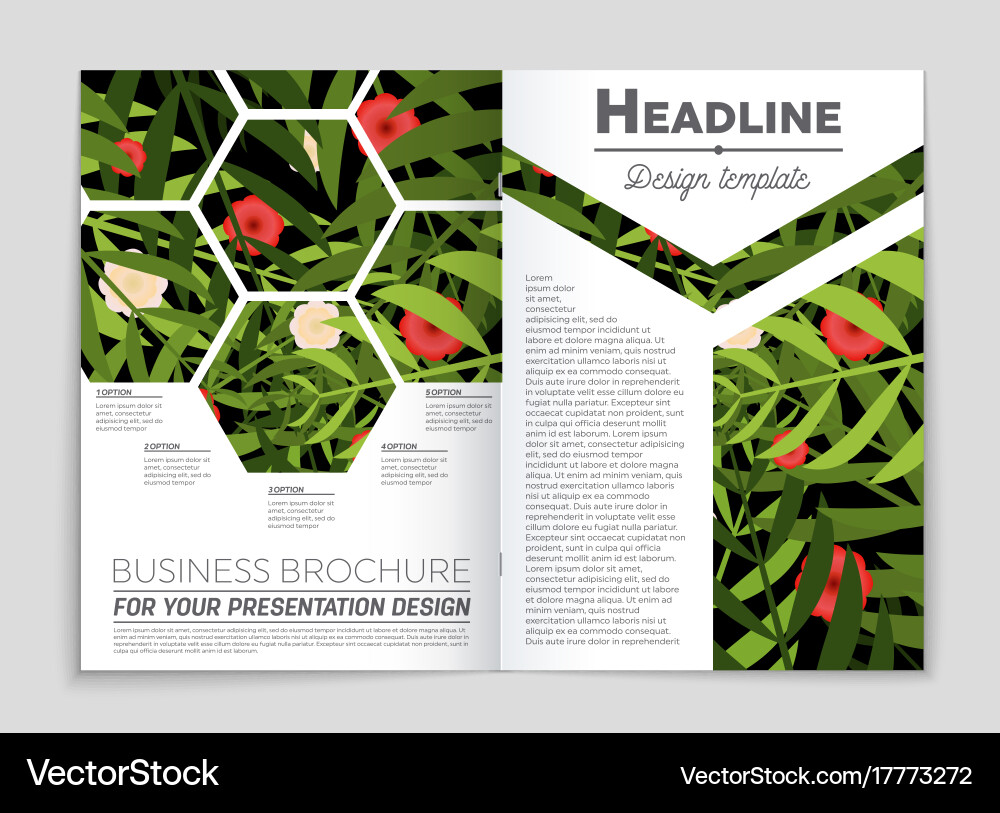 Abstract layout background set for art vector image