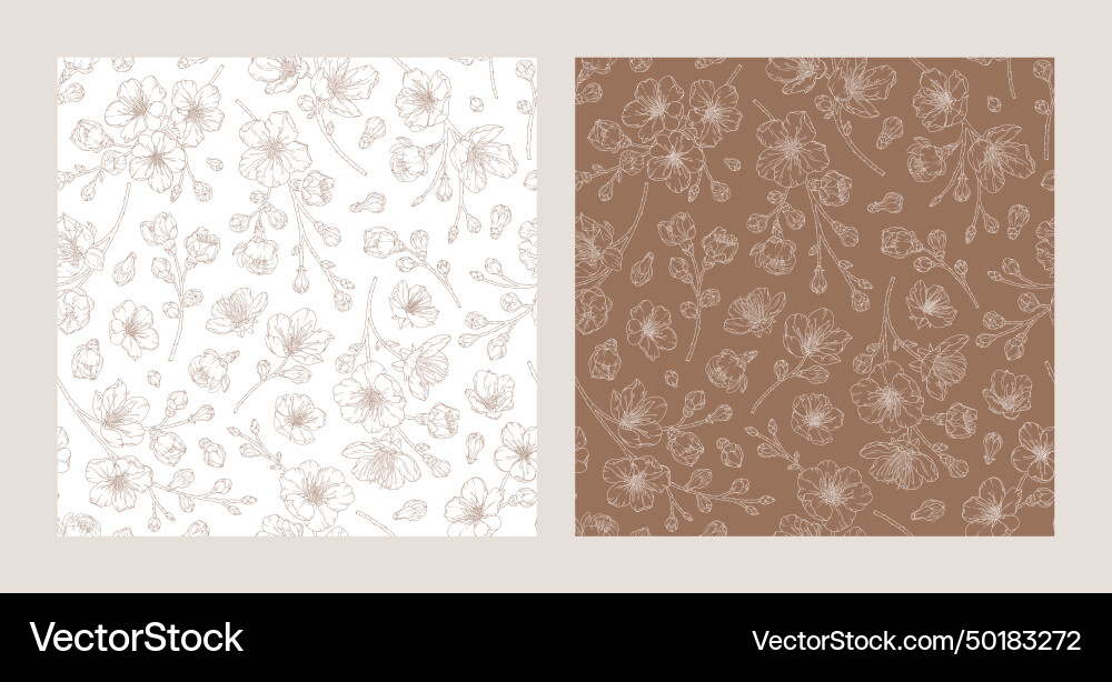 Set of seamless patterns with blooming apricot Vector Image