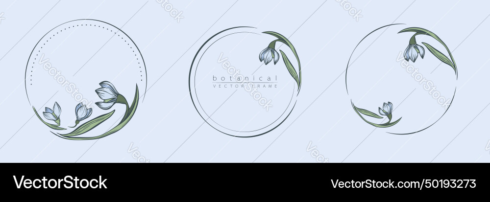 Botanical snowdrop flower circle frame set Vector Image