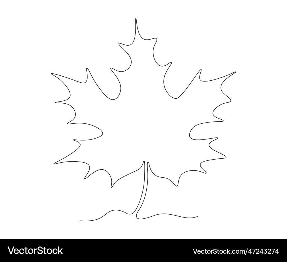 Abstract maple leaf continuous one line drawing Abstract maple leaf continuous one line drawing vector image