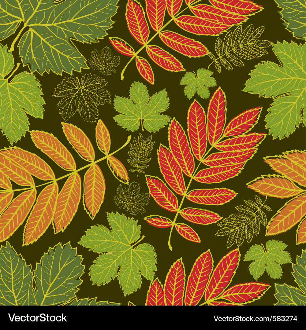 Autumn Leaf Pattern vector image