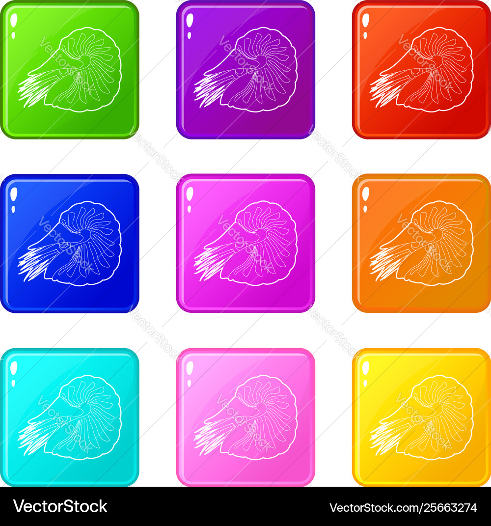 Clam icons set 9 color collection Vector Image