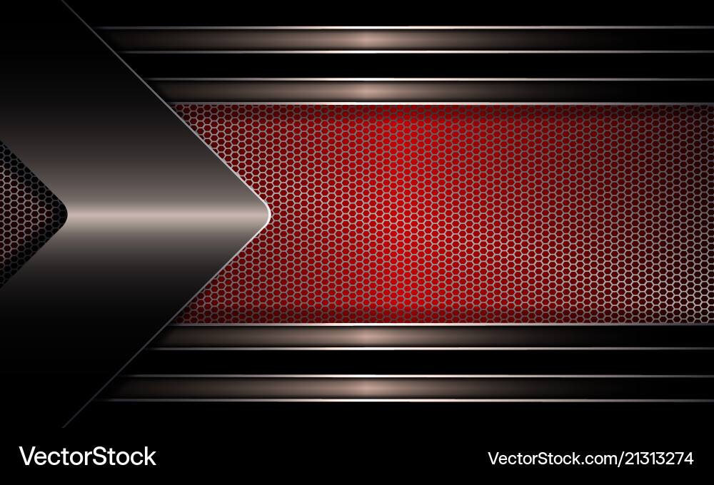 Geometric design with a mesh red frame vector image