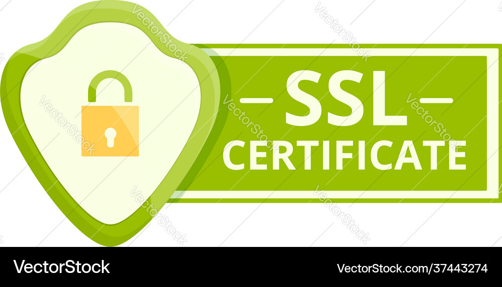 SSL Certificate Icon - Secure Connection vector image