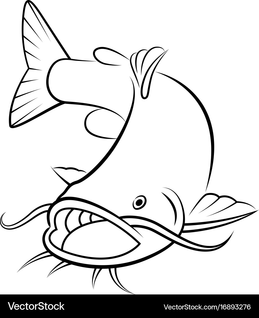 Graphic catfish on white background Vector Image