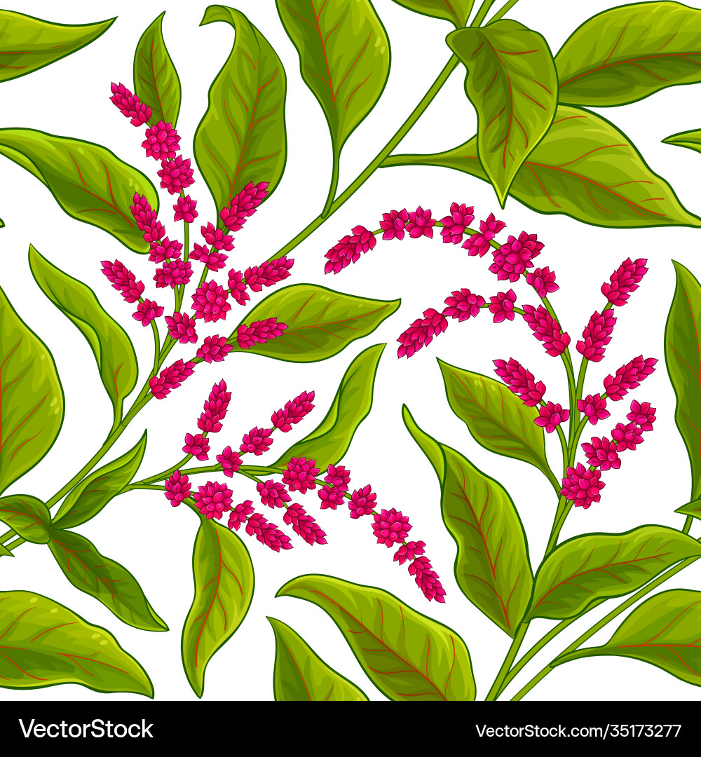 Amaranth Pattern - Botanical vector image