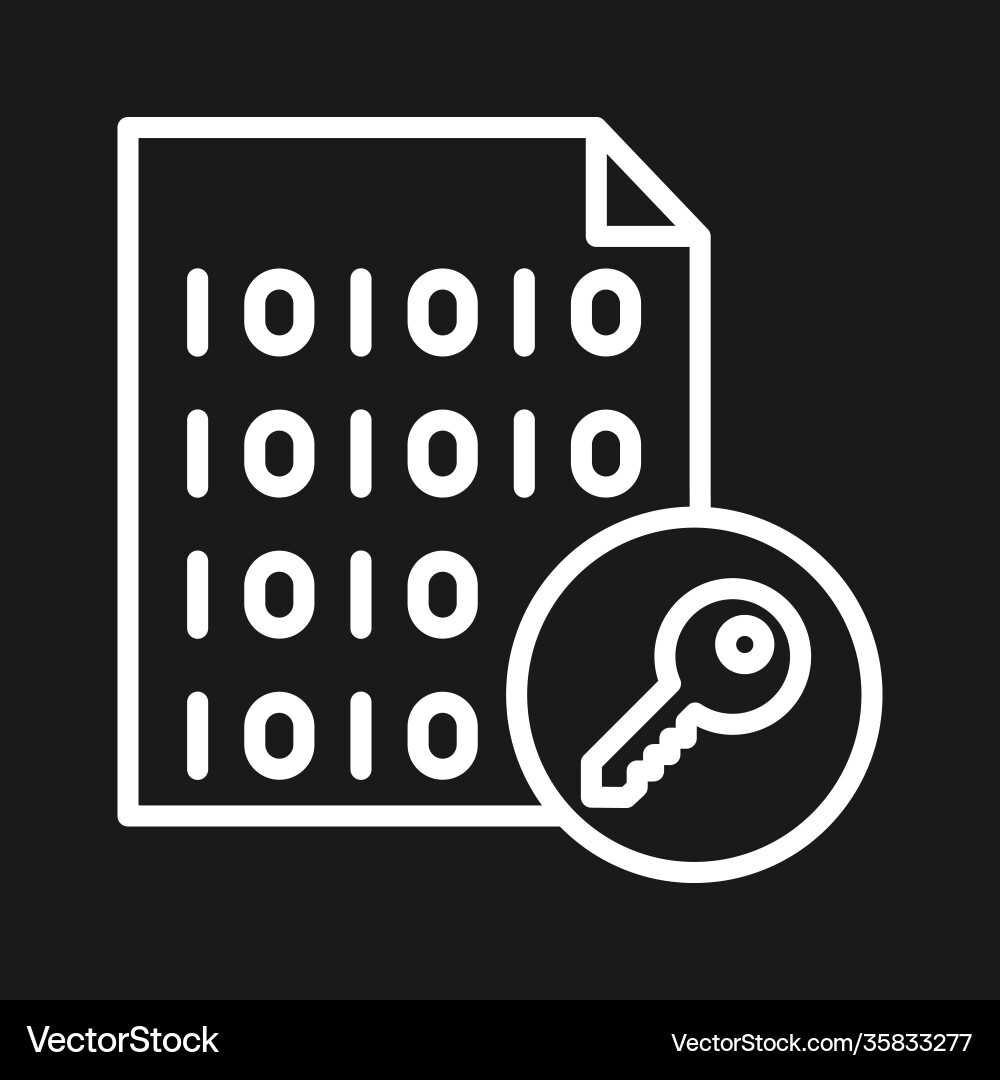 File encryption icon vector image