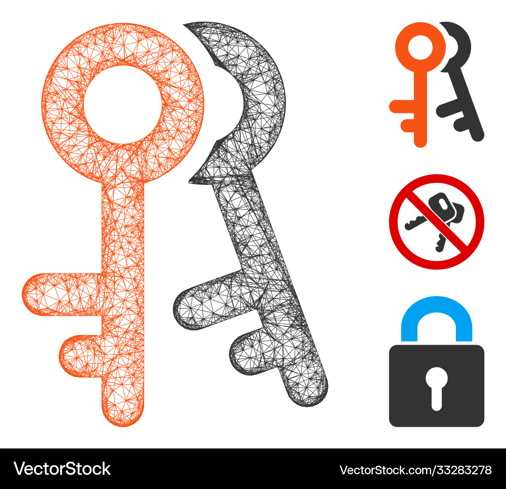 Access keys polygonal web mesh Access keys polygonal web mesh vector image