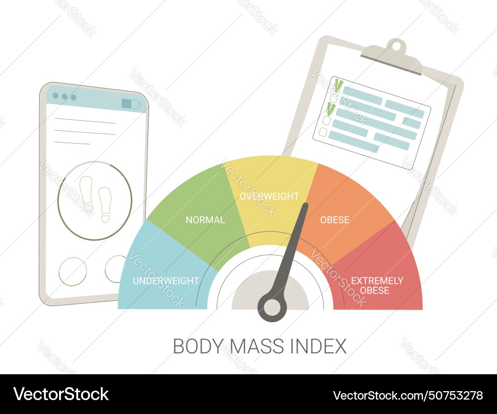 Bmi and count of steps body mass index vector image