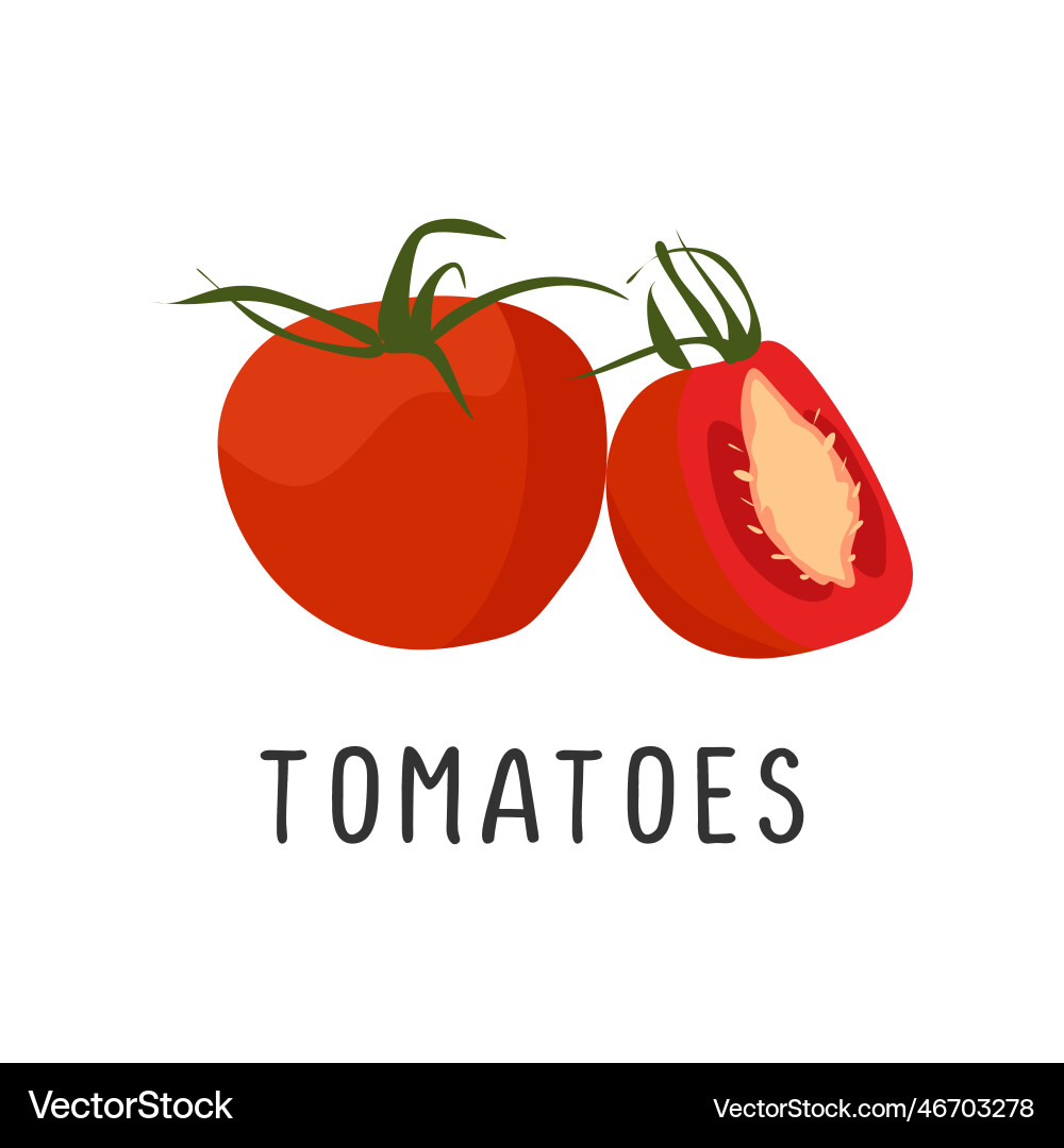 Tomaten flache Design Cartoon der saftigen Tomaten Tomaten flache Design Cartoon der saftigen Tomaten vektorbild