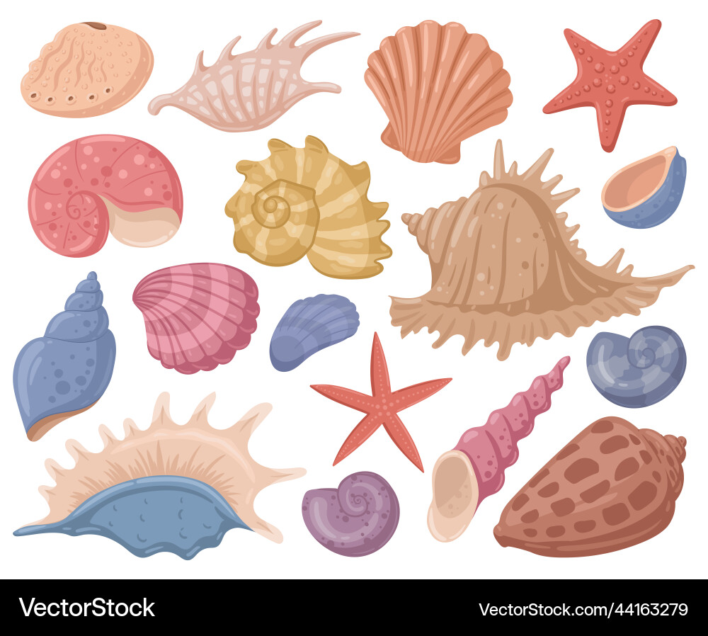 Cartoon sea shell starfish marine mollusks Cartoon sea shell starfish marine mollusks vector image