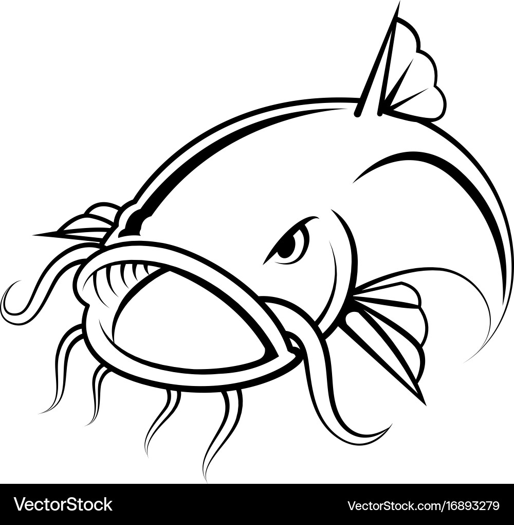 Detailed Catfish Illustration Vector Image